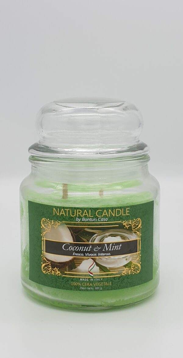NATURAL CANDLE IN GIARA 380 GR 100% CERA VEGETALE COCCONUT E MINT
