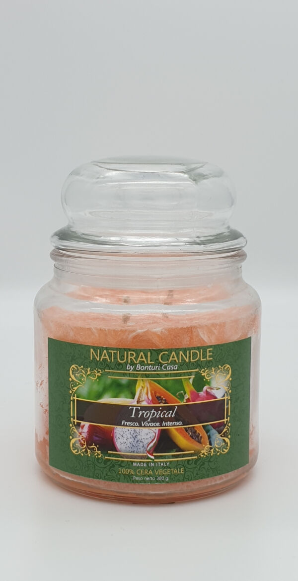 NATURAL CANDLE IN GIARA 380 GR 100% CERA VEGETALE TROPICAL