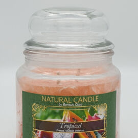 NATURAL CANDLE IN GIARA 380 GR 100% CERA VEGETALE TROPICAL