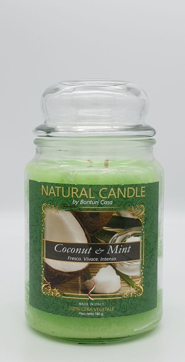 NATURAL CANDLE IN GIARA 580 GR 100% CERA VEGETALE COCCONUT E MINT