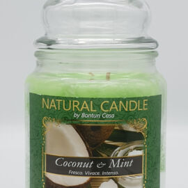 NATURAL CANDLE IN GIARA 580 GR 100% CERA VEGETALE COCCONUT E MINT