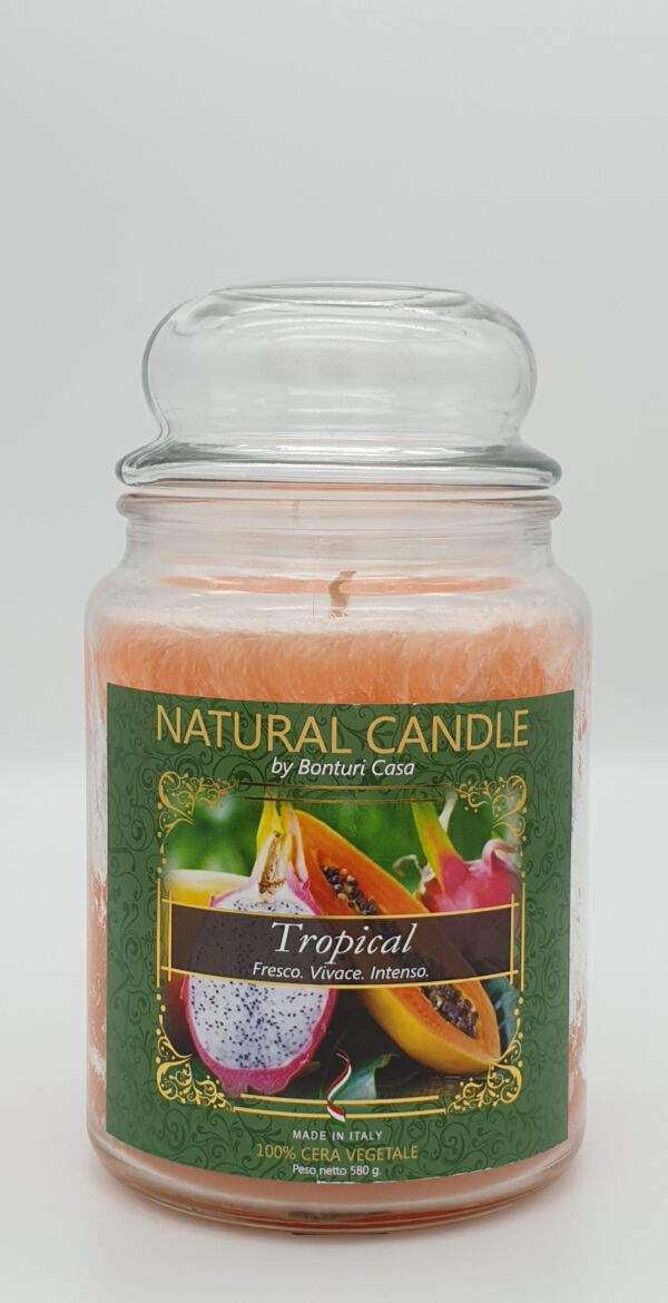NATURAL CANDLE IN GIARA 580 GR 100% CERA VEGETALE TROPICAL