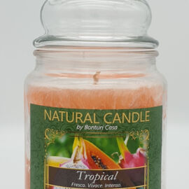 NATURAL CANDLE IN GIARA 580 GR 100% CERA VEGETALE TROPICAL