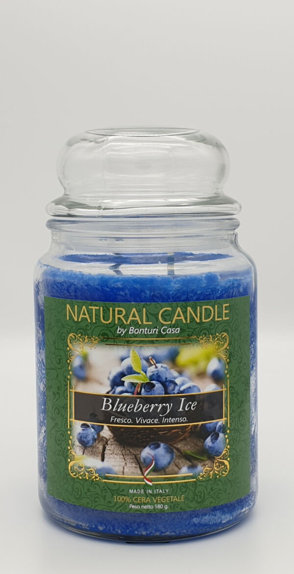 NATURAL CANDLE IN GIARA 580 GR 100% CERA VEGETALE BLUEBERRYICE