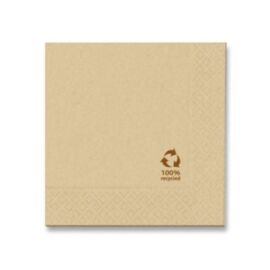 TOVAGLIOLO CARTA 2 VELI CM 25X25 RECYCLED ECOFRIENDLY (100PZ)