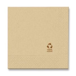 TOVAGLIOLO CARTA 2 VELI CM 33X33 RECYCLED ECOFRIENDLY (50PZ)