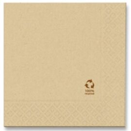 TOVAGLIOLO CARTA 2 VELI CM 40X40 RECYCLED ECOFRIENDLY (50PZ)