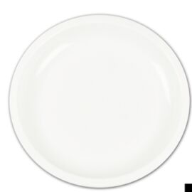 PIATTO TONDO D.290 BIANCO 25PZ