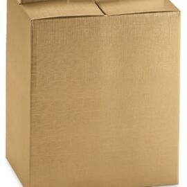 PANETTONE+BOTTIGLIA MM 305X225XH350 SETA ORO