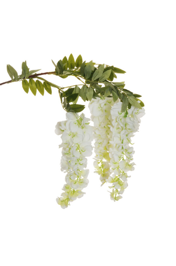 WISTERIA  HANGING BRANCH W/3 GROUPS  WHITE AL PZ