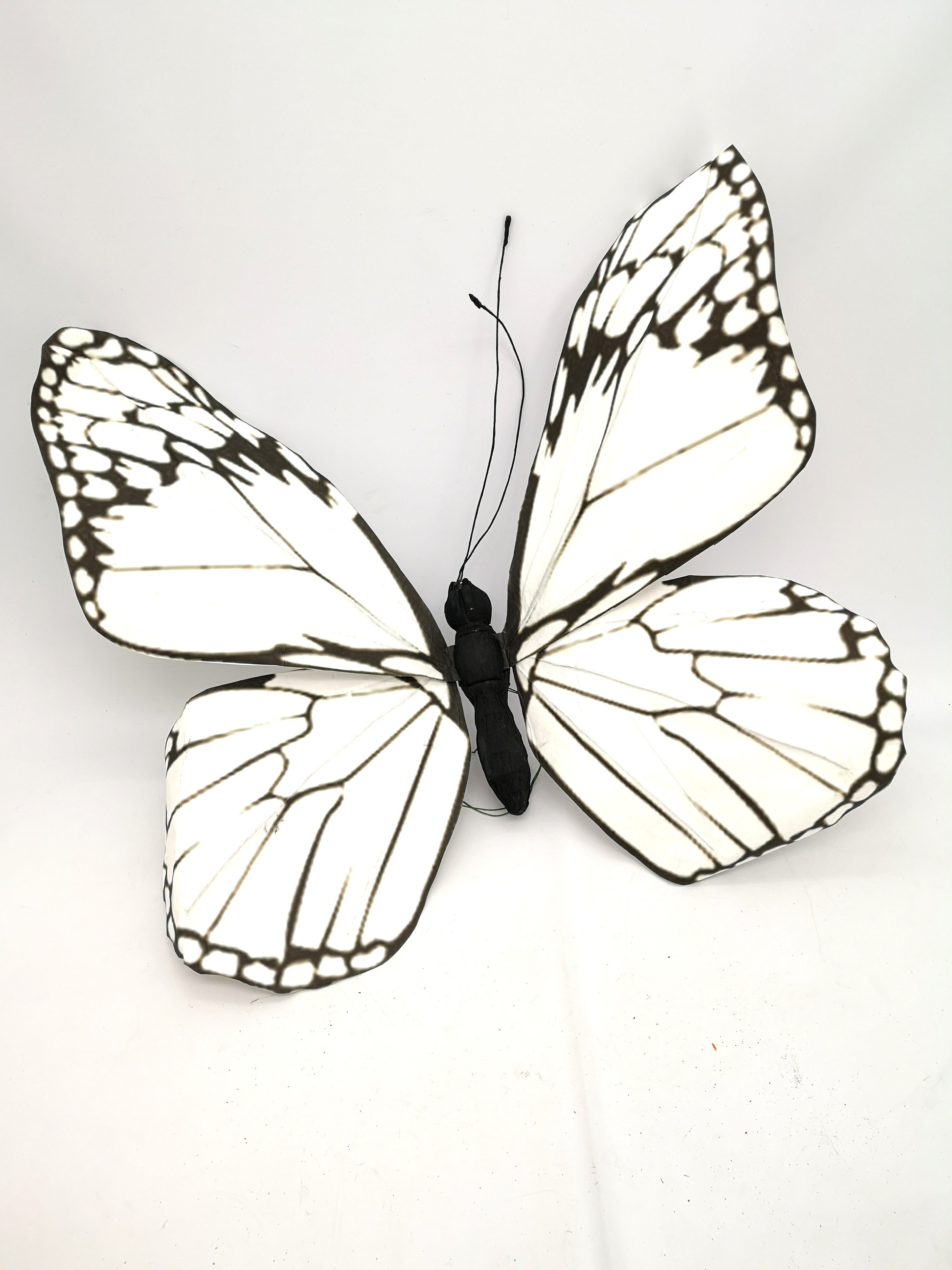 Farfalla Gigante Bianca D 80 Al Pz Zorzetto Web