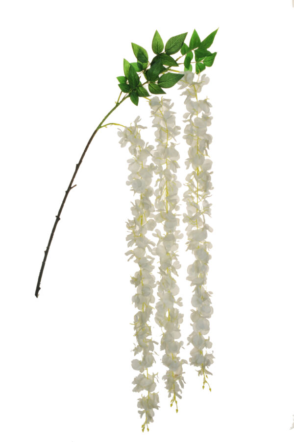 WISTERIA HANGING BRANCH W/3 BIANCO AL PZ