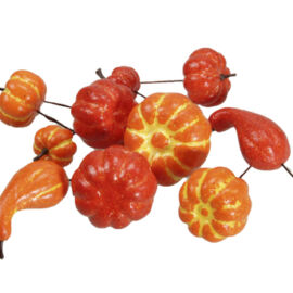 ZUCCHETTE ARANCIONI ASSORTITE 48PZ CM 3-5