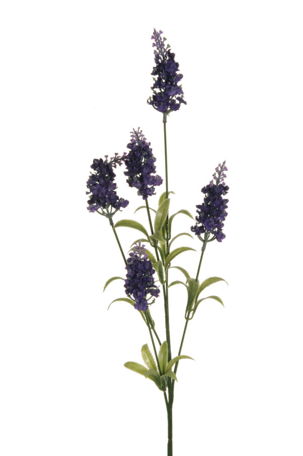 LAVENDER SPRAY X5  al pz W/PLASTIC LVS 71CM