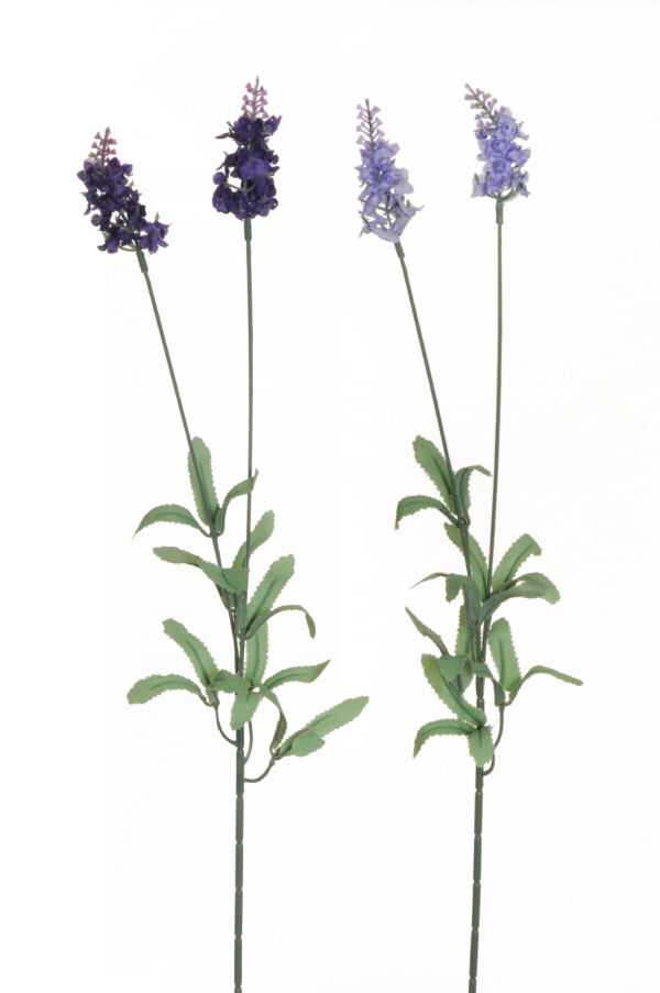 LAVANDA SPRAY X 2 60CM AL PZ