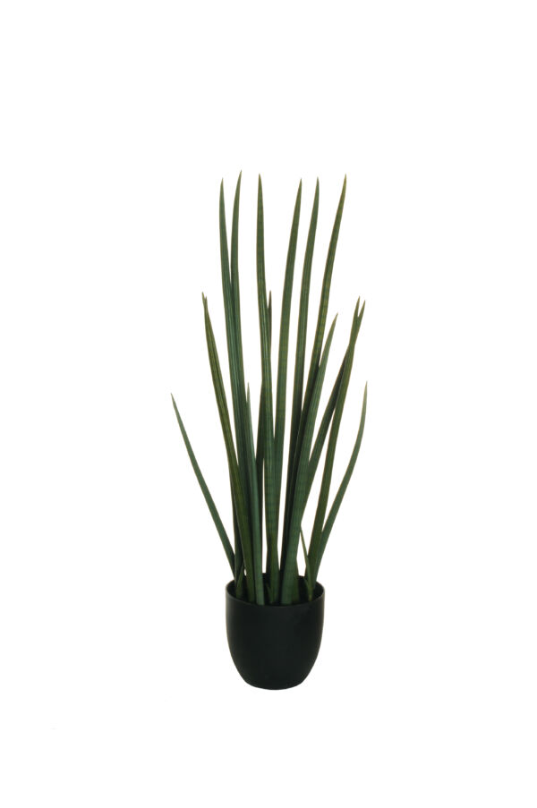 PIANTA FINTA SANSEVIERIA CILINDRICA IN VASO D.17,5XH87 CM VERDE