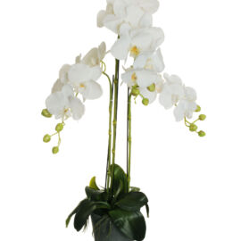 PHALAENOPSIS REAL TOUCH PLANT IN VASO D.16XH15 CM BIANCO