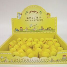 BOX PULCINI X 35 H5,5 L 26X19 (H5CM)