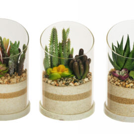 RUBBER SUCCULENTS IN TERRARIUM D.13X20 CM GREEN