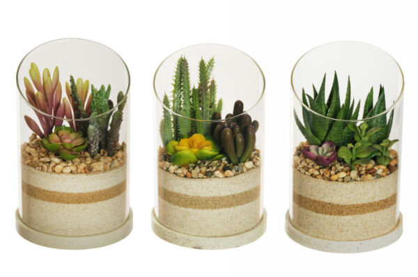 RUBBER SUCCULENTS IN TERRARIUM D.13X20 CM GREEN