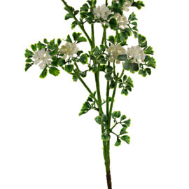 BERRY BUSH CON 12 RAMI CREMA AL PZ