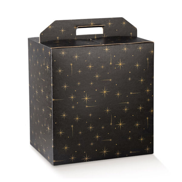 SCATOLA PANETTONE+BOTTIGLIA MM 430X240X345 CONSTELLAT.