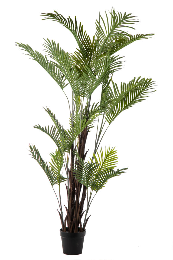 PIANTA FINTA ARECA 24 FOGLIE CM 190