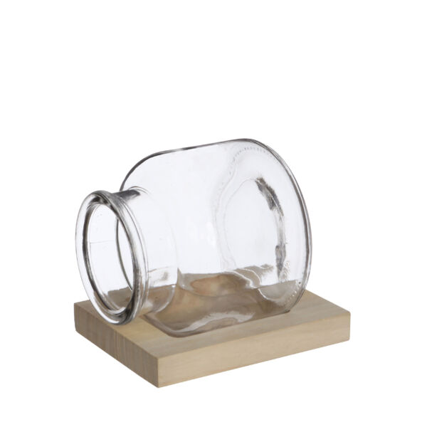 TERRARIO SU TAVOLA LEGNO H14,5 W 11,5 H 12,5