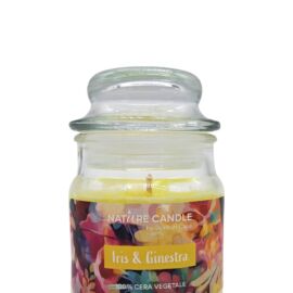 NATURAL CANDLE IN GIARA 90 GR 100% CERA VEGETALE ris&ginest