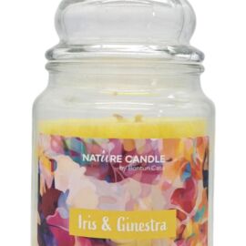 NATURAL CANDLE IN GIARA 580 GR 100% CERA VEGETALE iris&ginest