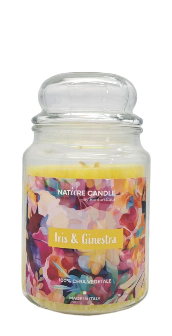 NATURAL CANDLE IN GIARA 580 GR 100% CERA VEGETALE iris&ginest