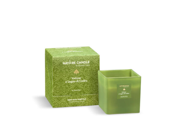 CANDELA  330gr " LE PREZIOSE" vetiver/legno ced.