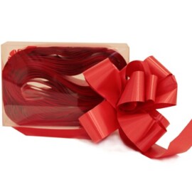 FIOCCO RAPID 50MMX50PZ P00 ROSSO