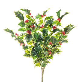 BUSH AGRIFOGLIO CM 35 VARIEGATO AL PZ BUSH AGRIFOGLIO CM 35 VARIEGATO AL PZ
