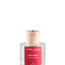 PROFUMATORE AMBIENTI REED ML 100 LINEA LEILE indomabile PROFUMATORE AMBIENTI REED ML 100 LINEA LEILE indomabile