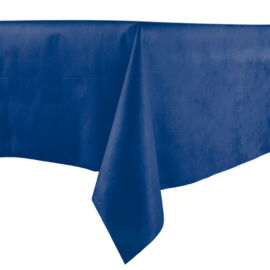 TOVAGLIA TNT CM 100X100 DRY BLU 25PZ