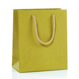 BORSA DI CARTA KRAFT FONDO PIENO CM 22X29+10 AL PZ SENAPE