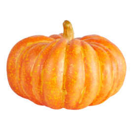 ZUCCA DA VETRINA D. CM 30