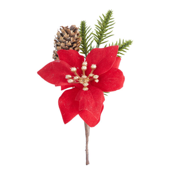 PICK  POINSETTIE/PIGNA AL PZ ROSSO