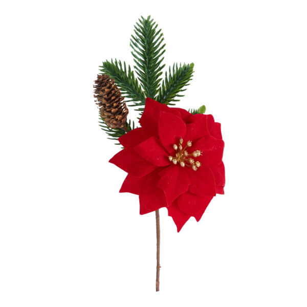 PICK  POINSETTIE/PIGNA  AL PZ ROSSO