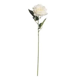 ROSA DIAMOND CM 63 AL PZ BIANCO ROSA DIAMOND CM 63 AL PZ BIANCO