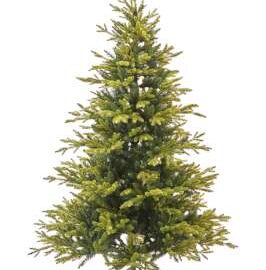 ALBERO SCOZZESE CM 180 TIPS 897D. CM 119