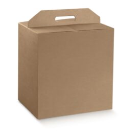 SCATOLA PANETTONE+BOTTIGLIA MM 330X250X350 AVANA SCATOLA PANETTONE+BOTTIGLIA MM 330X250X350 AVANA