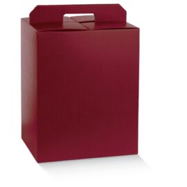SCATOLA 6 BOT. 270X180X340 FIBRA BORDO' SCATOLA 6 BOT. 270X180X340 FIBRA BORDO'